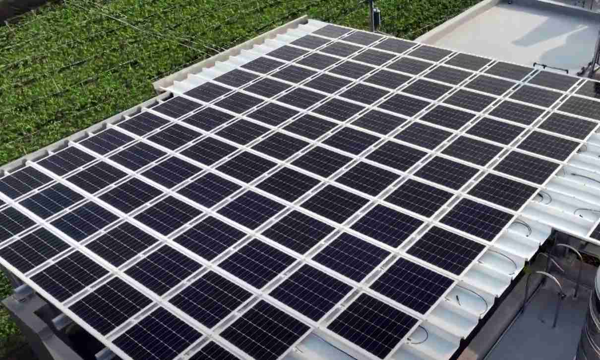 YAXIN111SunSteel光电浪板升级双玻结构，，以提升机械负载强度及气候耐候度，，，可广泛运用于多元场域